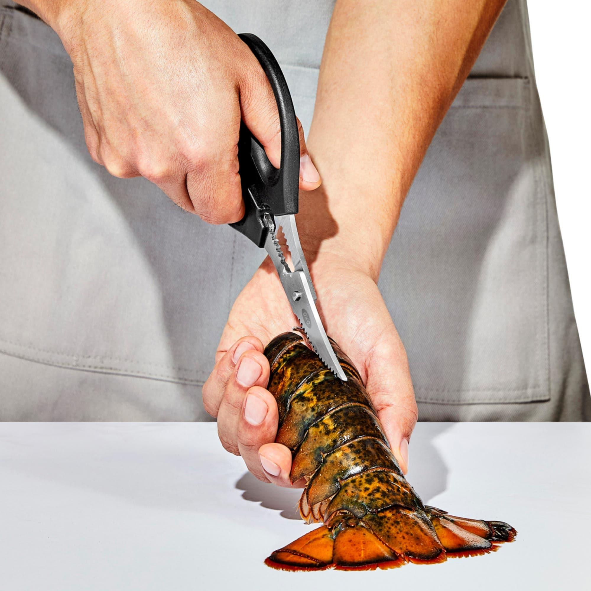 OXO Good Grips Seafood Scissors Image 5