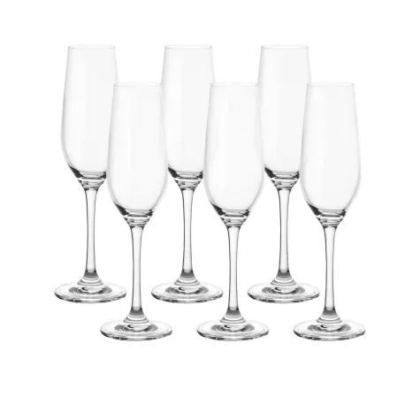 Stanley Rogers Tamar Champagne Flute 235ml Set of 6 Image 1