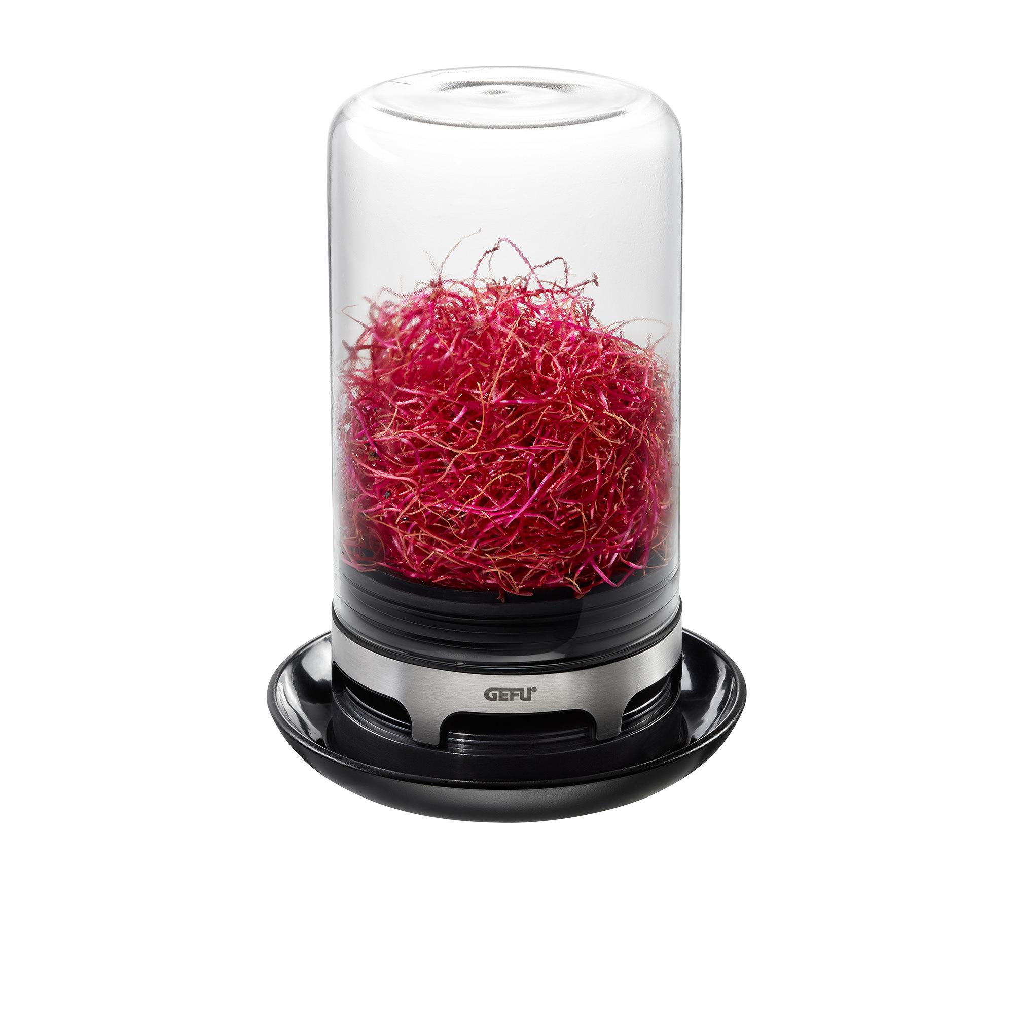 Gefu Bivita Sprouting Jar Image 2