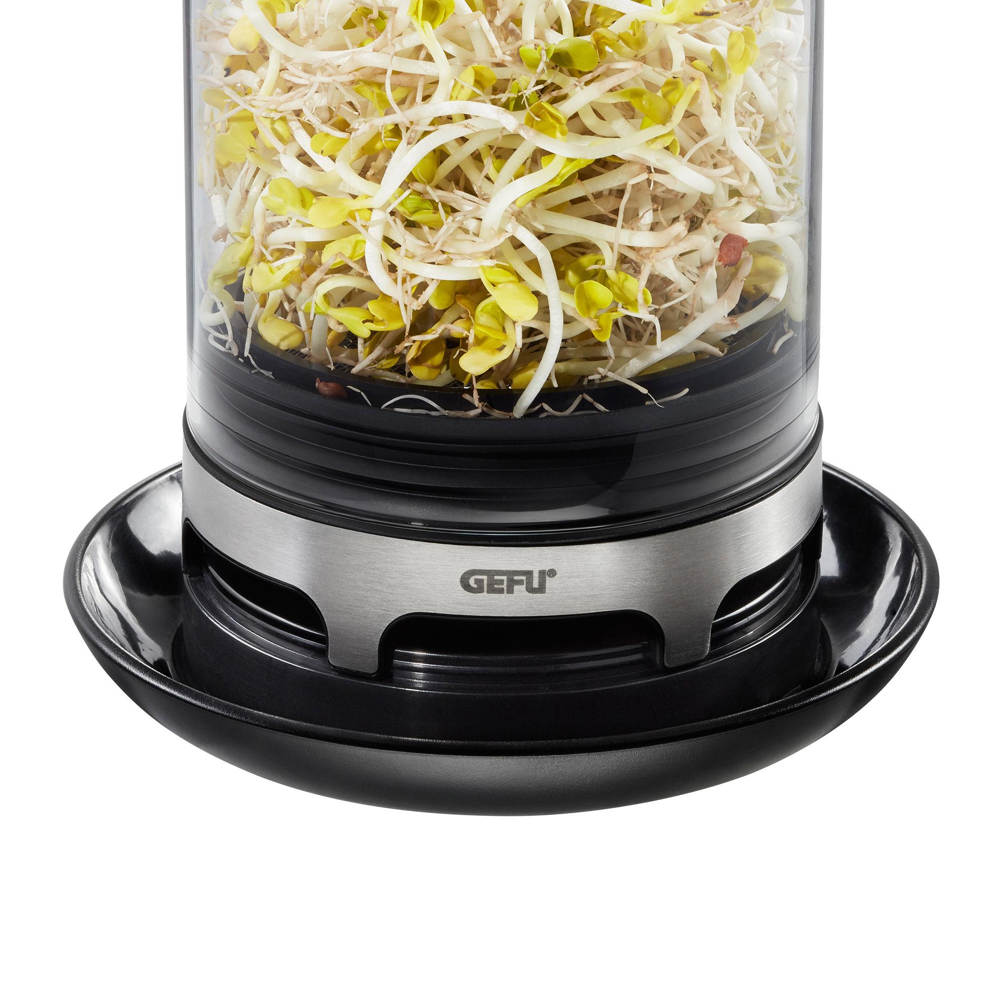 Gefu Bivita Sprouting Jar Image 3
