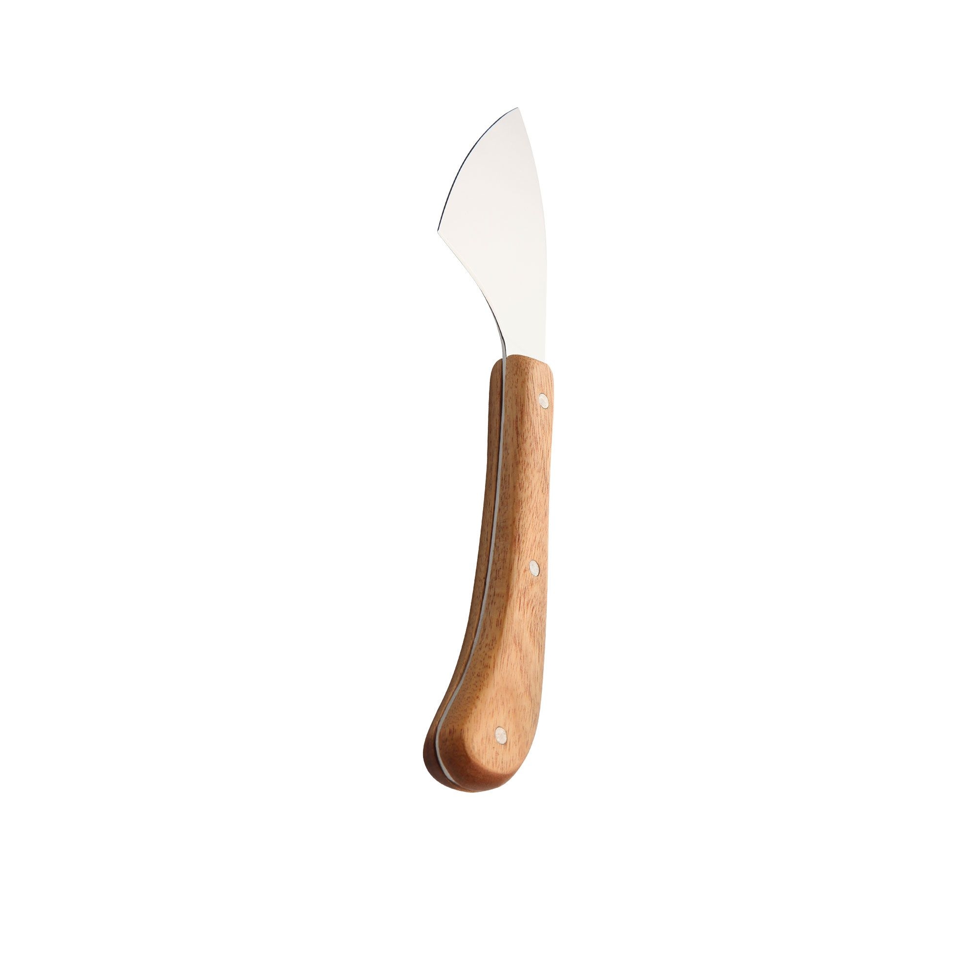 Stanley Rogers Acacia Hard Cheese Knife Image 1