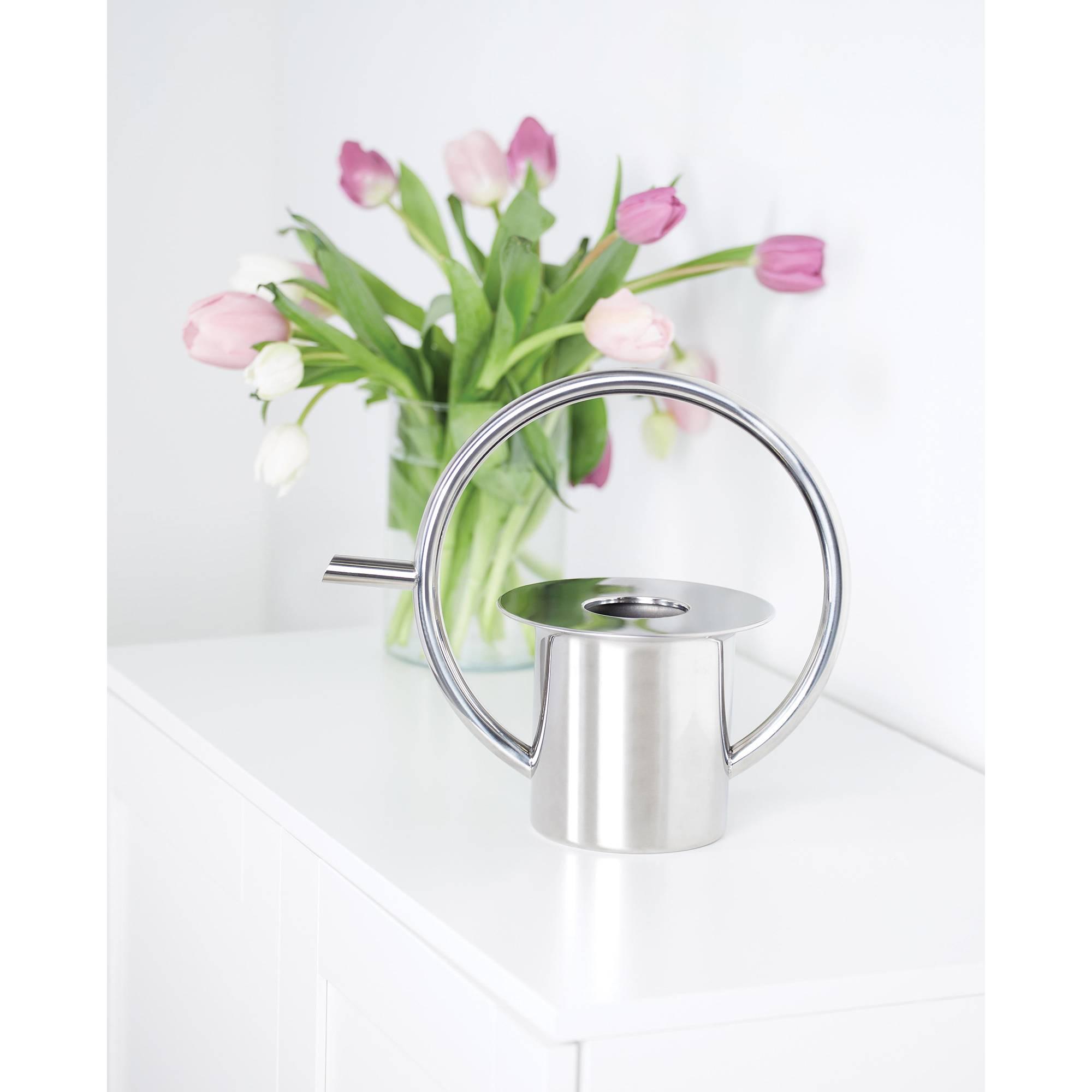 Umbra Quench Stainless Steel Watering Can 1L Image 4