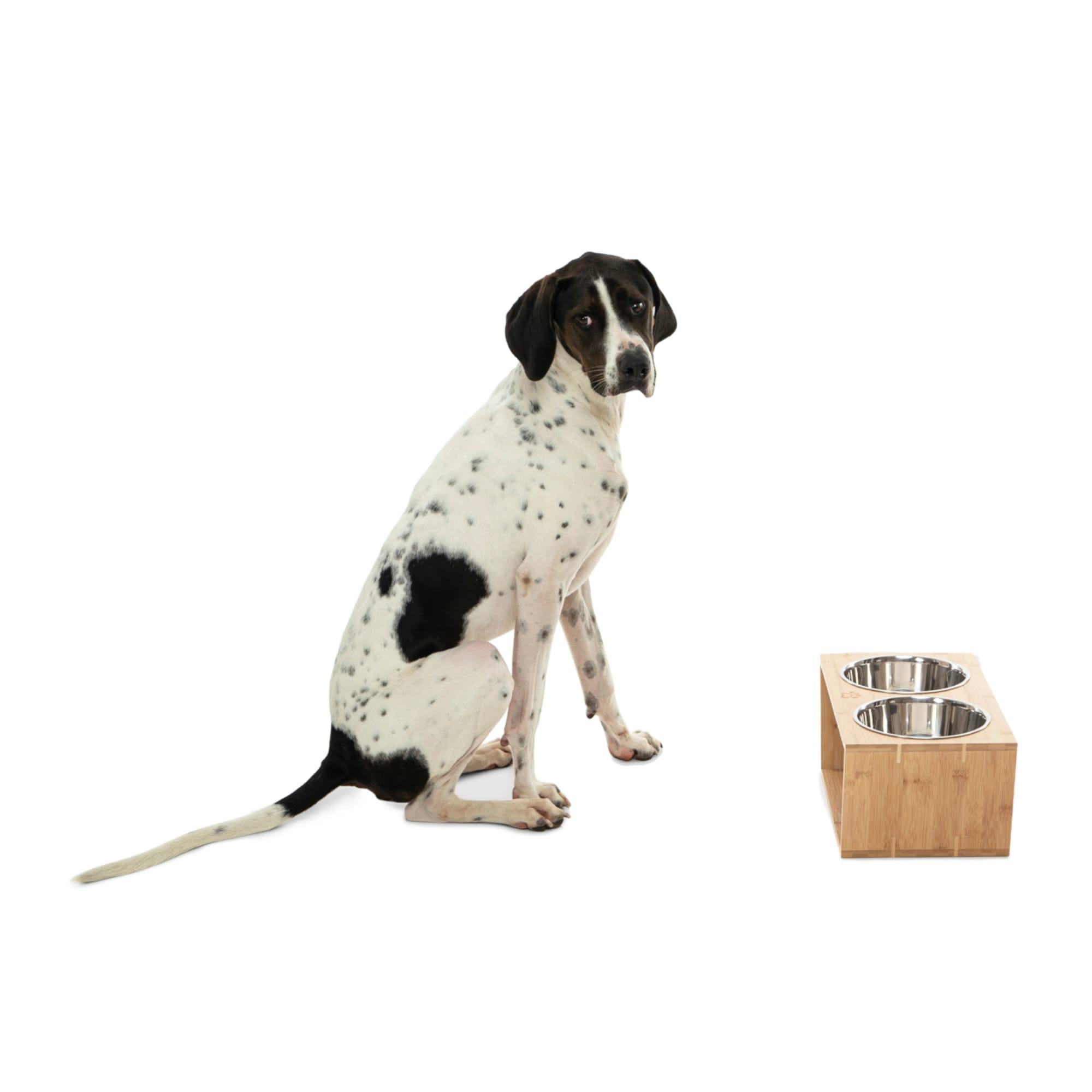 Charlie's Bamboo Dog Feeder with Stainless Steel Bowls Large Natural Image 4