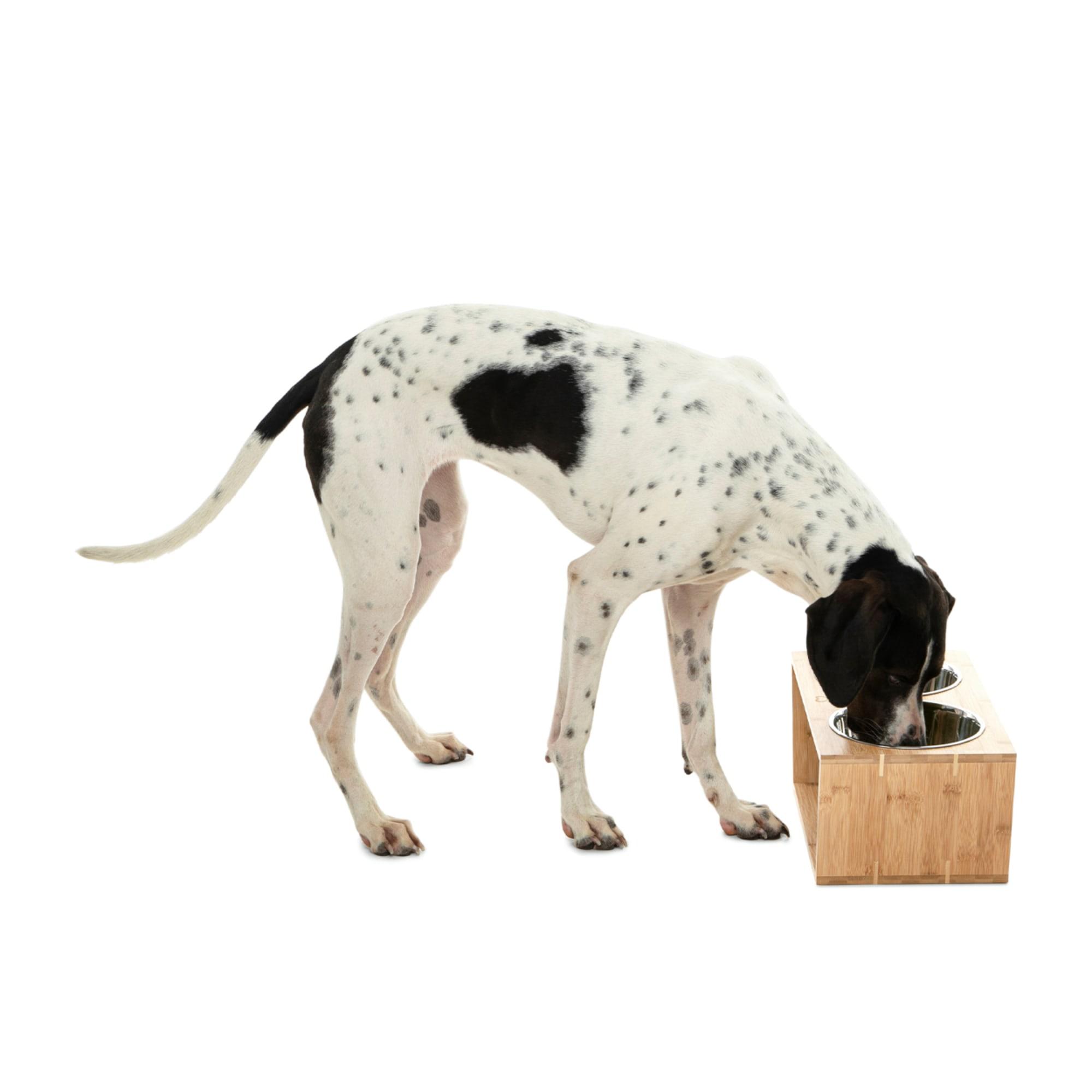 Charlie's Bamboo Dog Feeder with Stainless Steel Bowls Large Natural Image 6