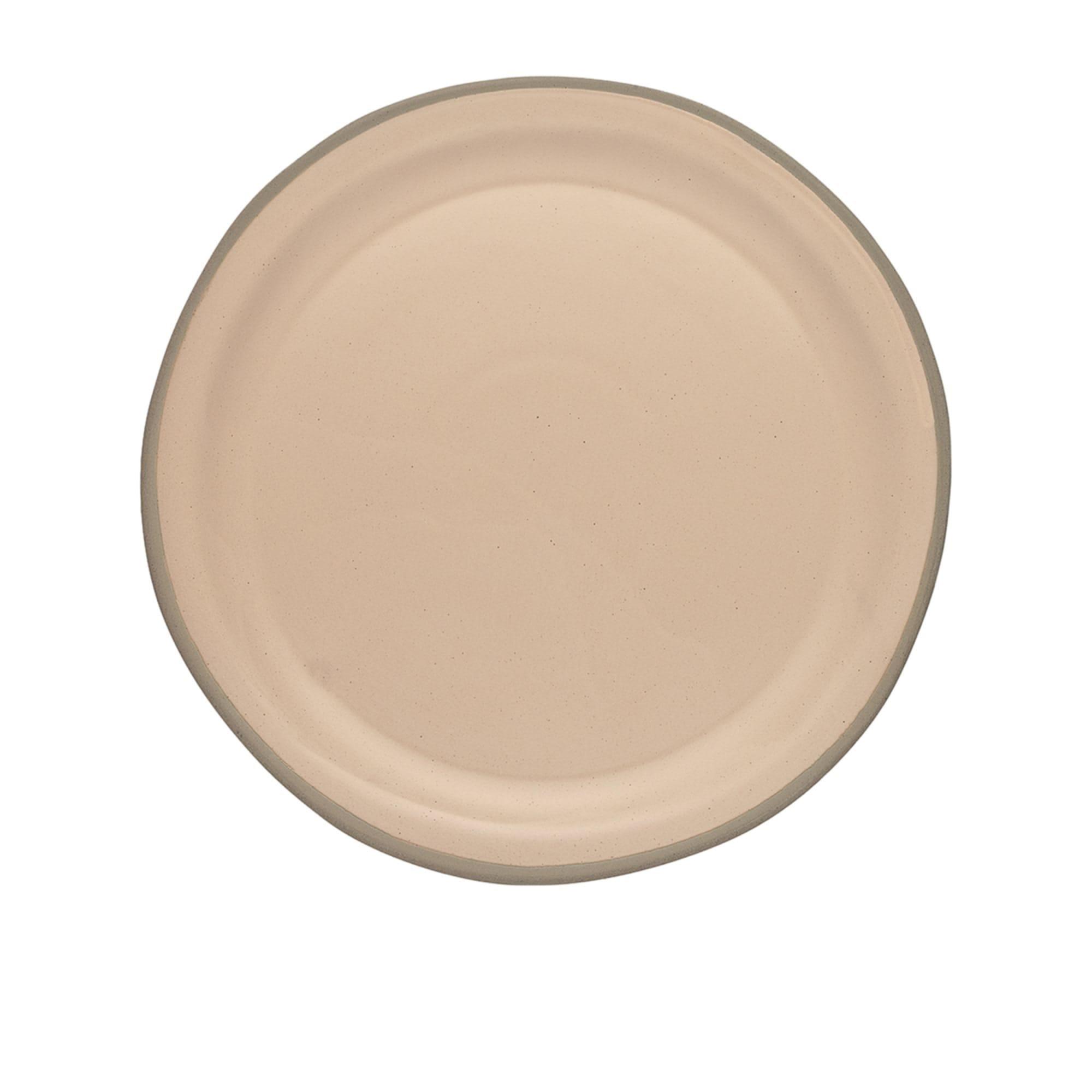 Ecology Tahoe Dinner Plate Set of 4 Apricot Image 2