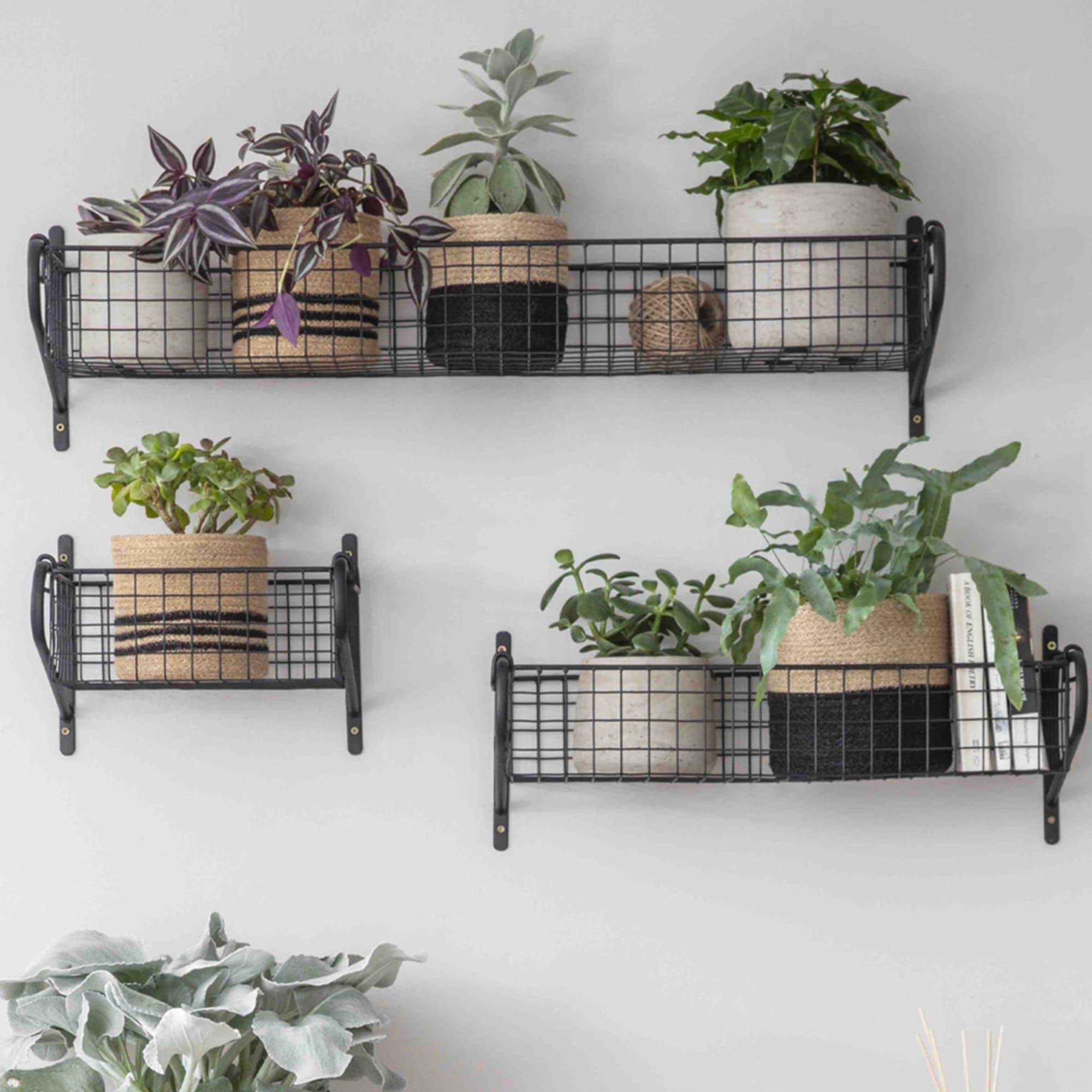 Garden Trading Wirework Basket Shelf Medium Black Image 3