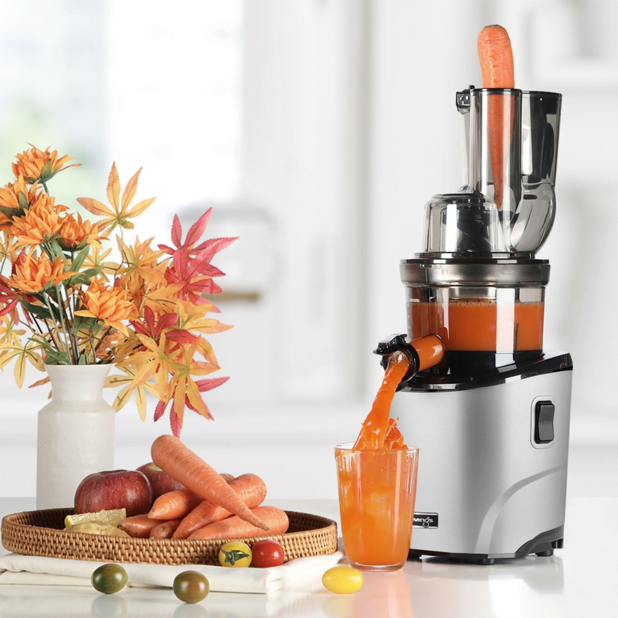 Kuvings REVO830 Carrot and Celery Slow Juicer Silver Image 4