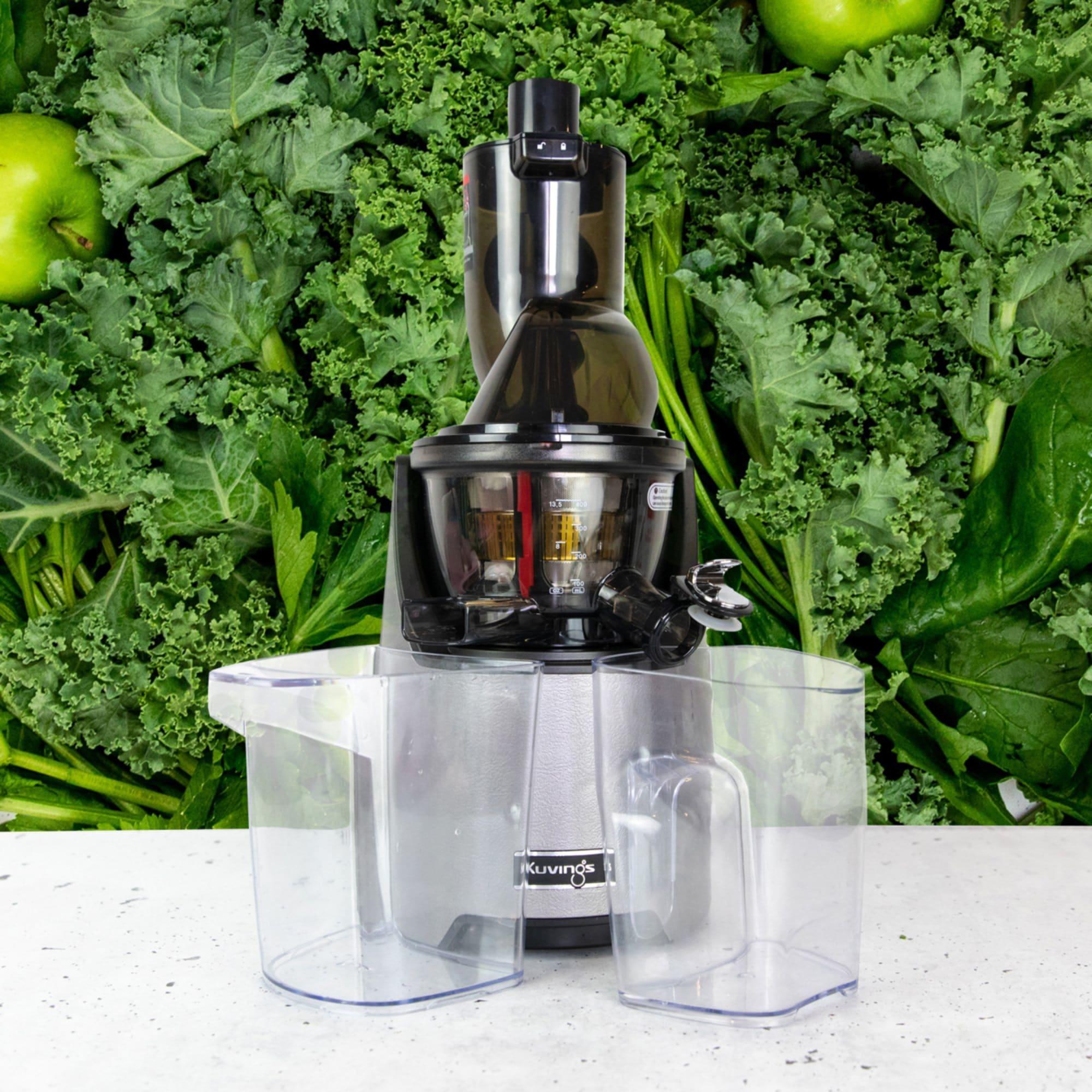 Kuvings EVO820 Evolution Professional Whole Slow Juicer Silver Image 5