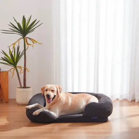 Charlie's Teddy Fleece Orthopedic Memory Foam Sofa Dog Bed Large Charcoal Image 2
