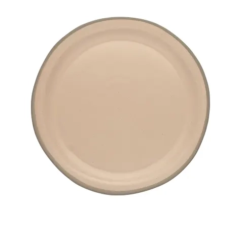 Ecology Tahoe Dinner Plate Set of 4 Apricot Image 2