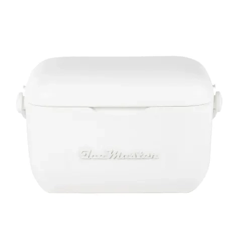 Ice Master Cooler Box with Handle and Strap 20L White Image 1