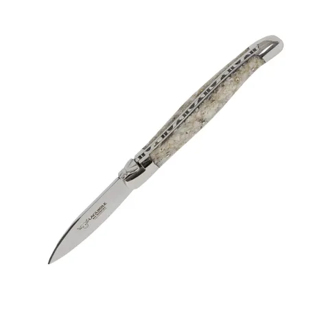 Laguiole en Aubrac Oyster Knife with Oyster Shell Handle Image 1