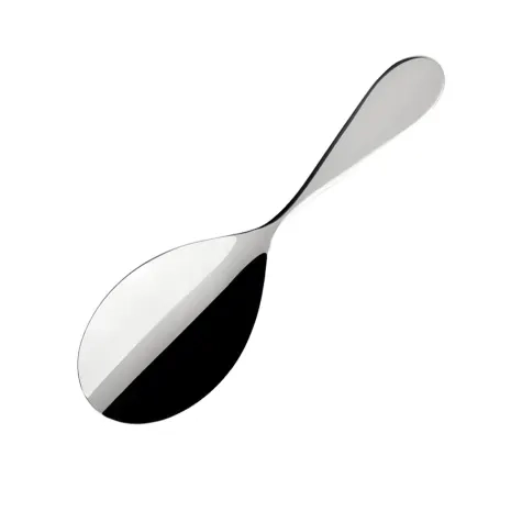 Villeroy & Boch Sereno XXL Rice Serving Spoon Image 1