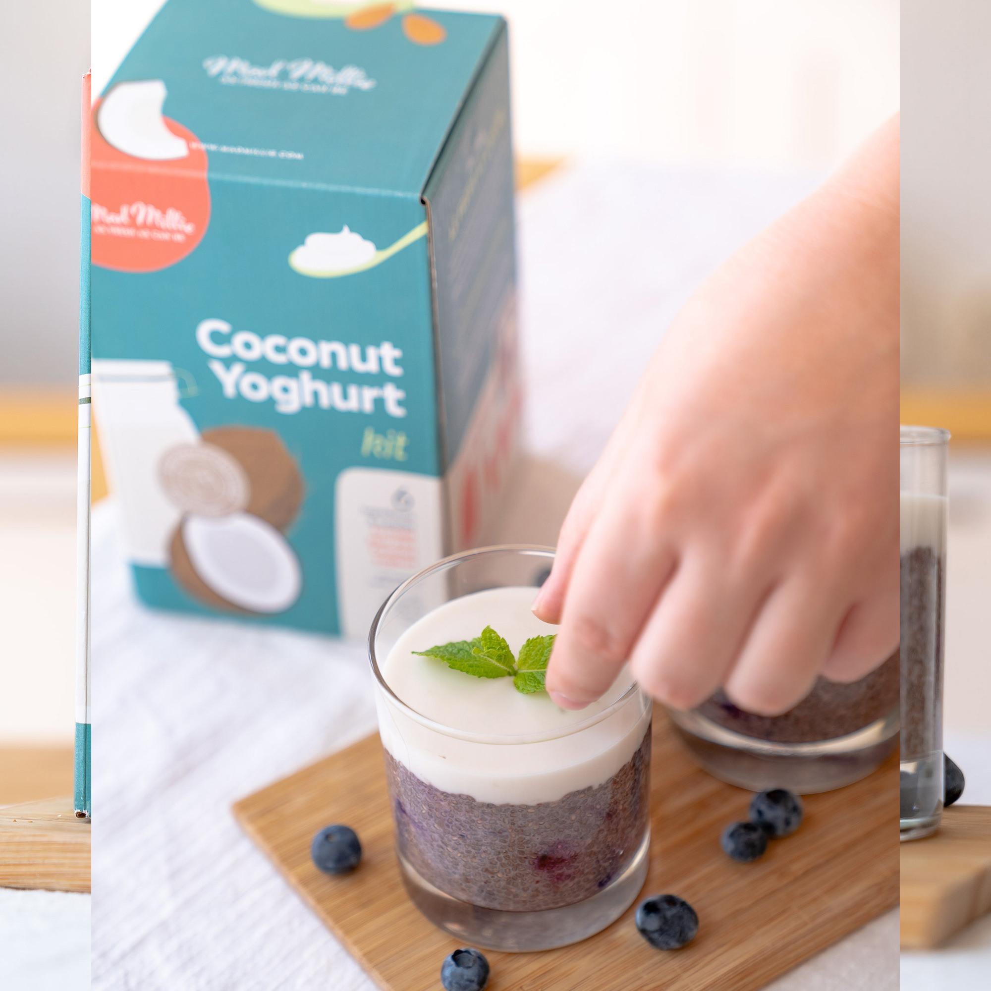 Mad Millie Coconut Yoghurt Kit Image 5