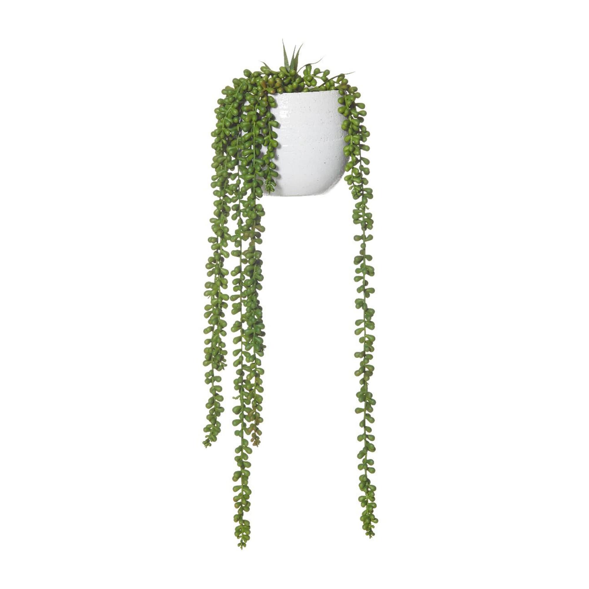 Rogue Hanging Pearls in Pot 66cm White Image 1