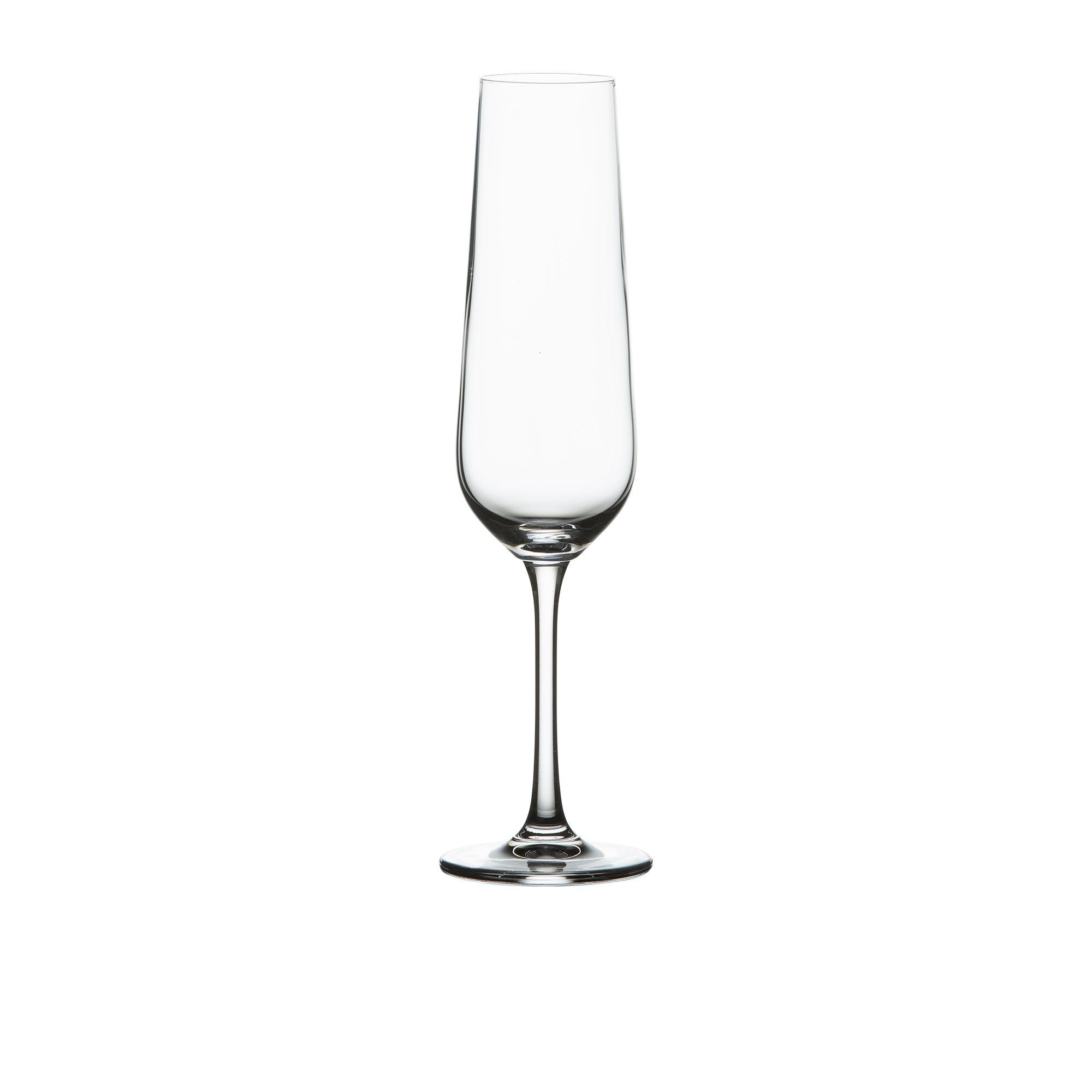 Salisbury & Co Sublime Champagne Flute Glass 200ml Set of 6 Image 6