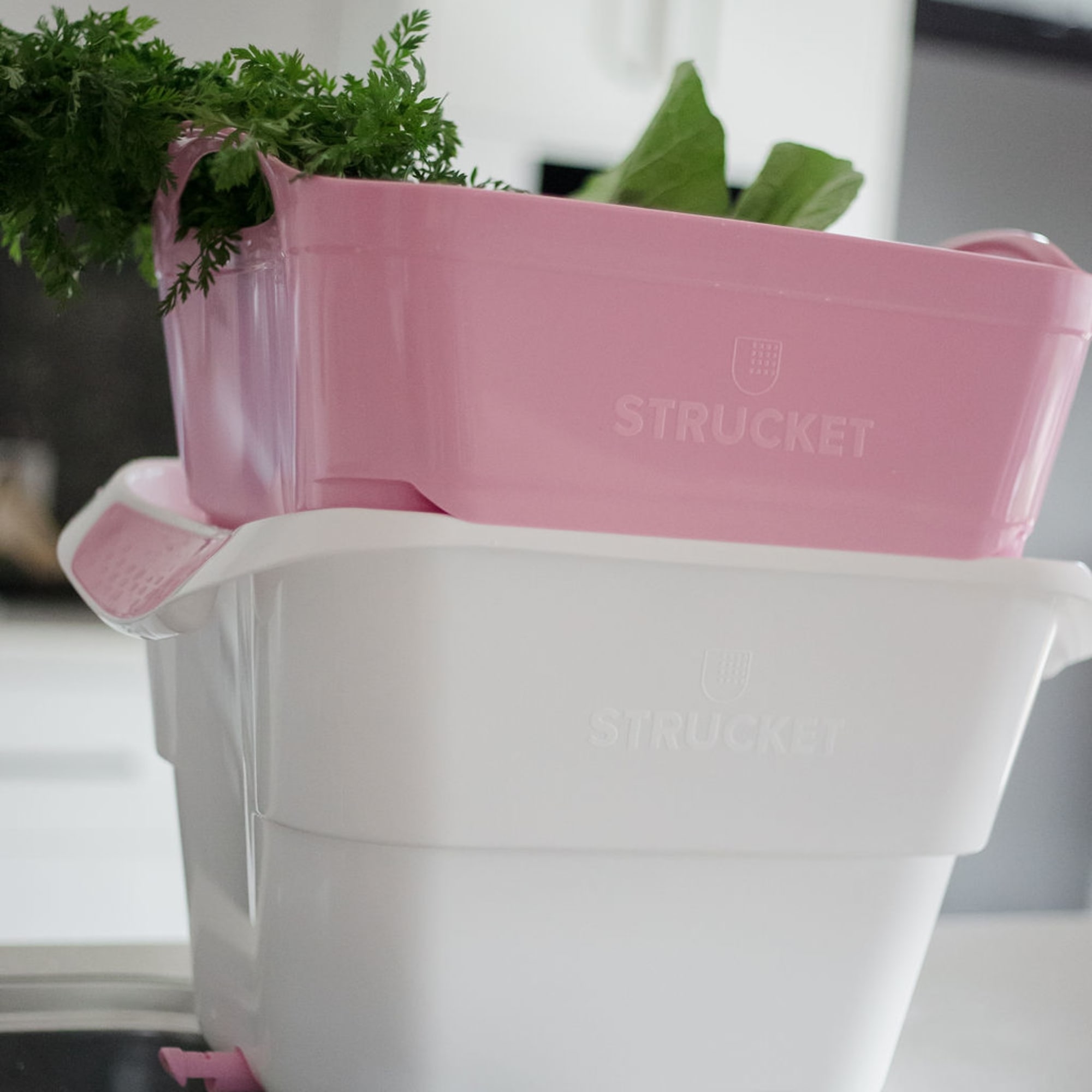 Strucket Soaker Bucket 19L Pink Image 2